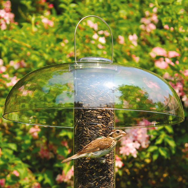 Sky Cafe Squirrel Proof Bird Feeder, Domed Squirrel Proof Bird