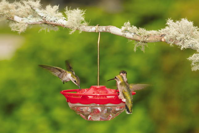 Wild Birds Unlimited Nature Shop