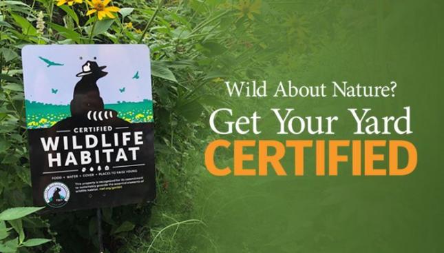 Certify Your Yard